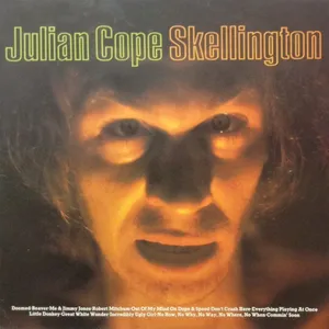 The Skellington chronicles